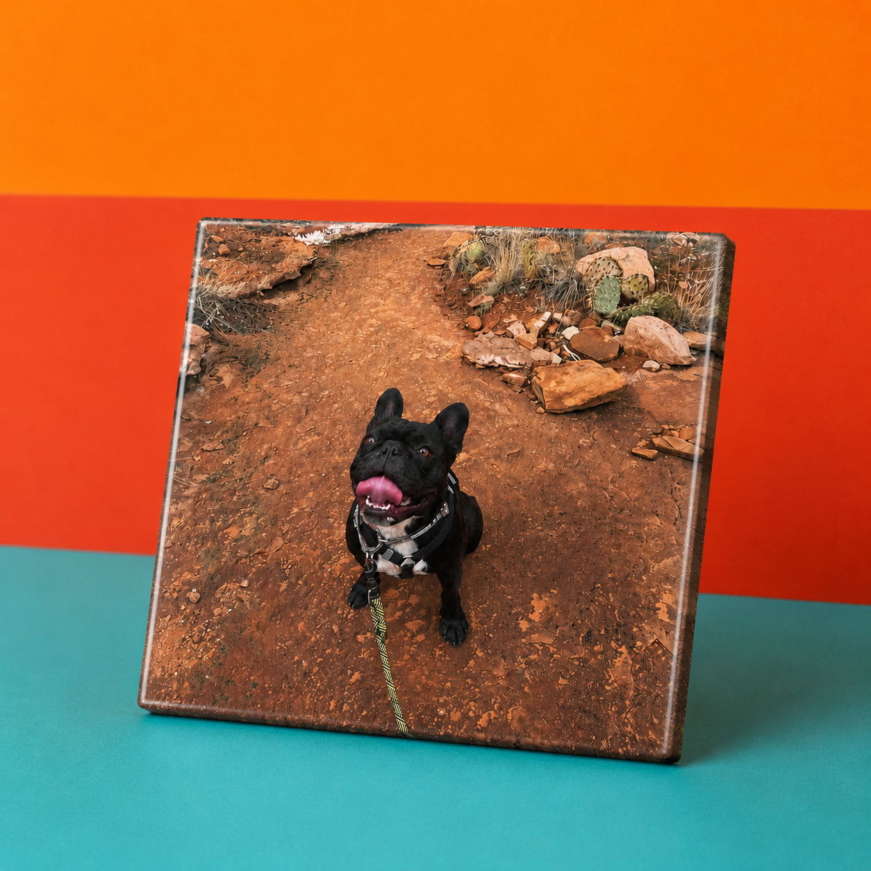 Custom Photo Magnet Square